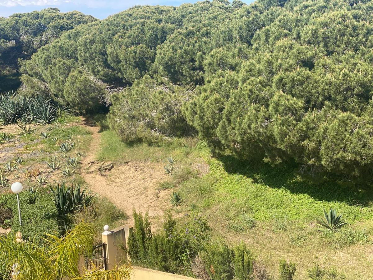 Casa De La Duna Costa Blanca La Mata  Kültér fotó