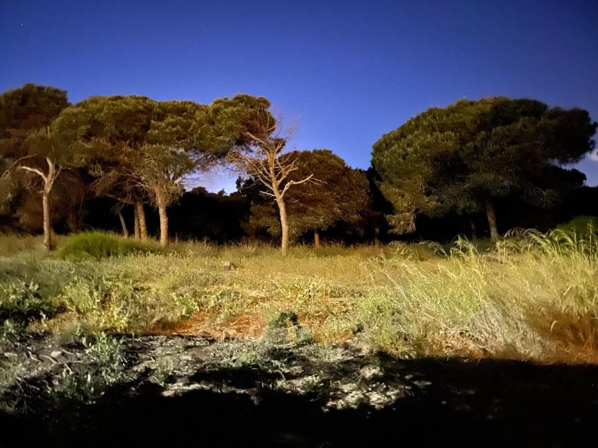 Casa De La Duna Costa Blanca La Mata  Kültér fotó